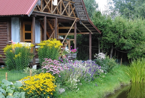 Homestead of Morta Mikašauskienė