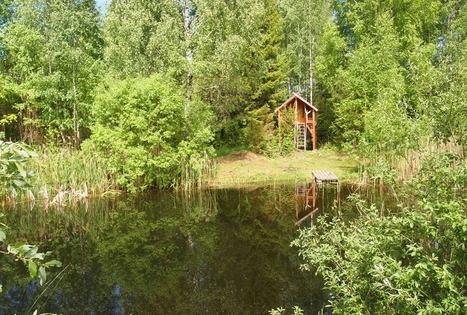 Felikso Laivio sodyba