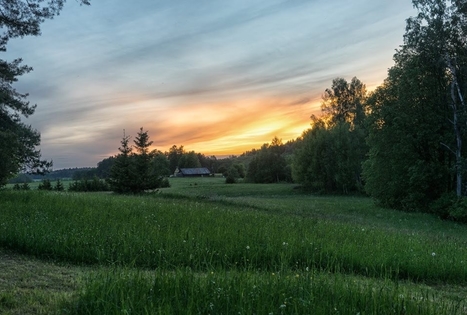 Felikso Laivio sodyba