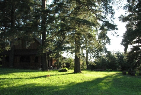 Felikso Laivio sodyba