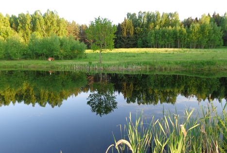 Felikso Laivio sodyba