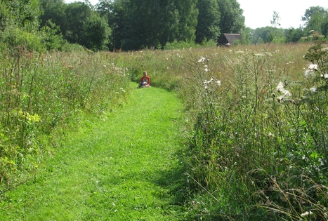 Felikso Laivio sodyba