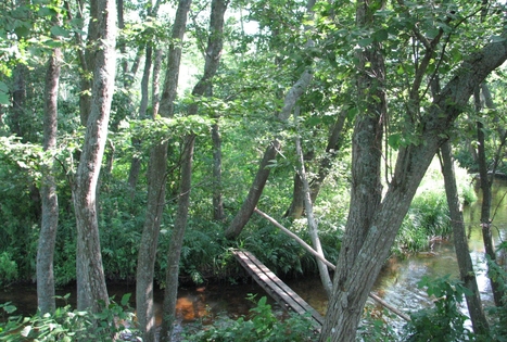 Felikso Laivio sodyba