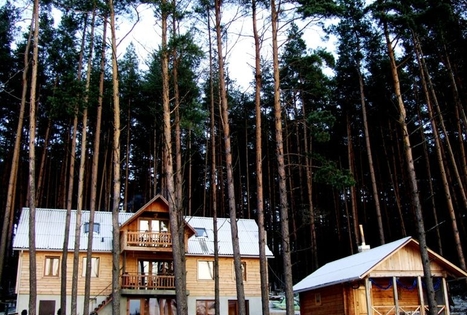 Homestead "Giedrita"