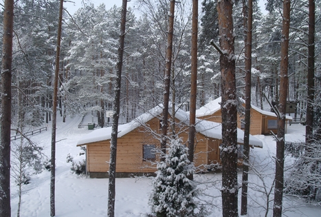 Homestead "Giedrita"