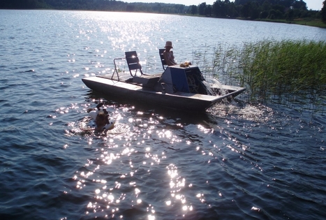 Sodyba „Pas tėvukus“