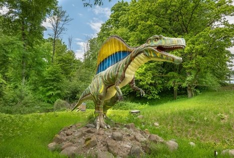 Dinozaurų parkas Dino.lt Radailiai ir Apverstas namas