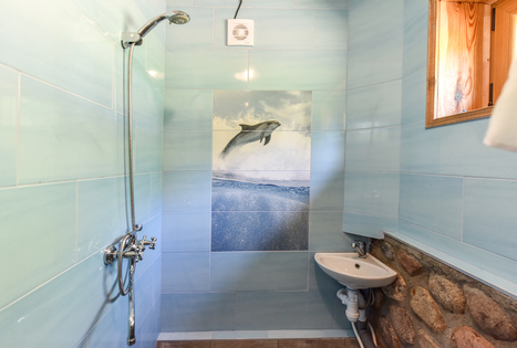 Homestead "Vencavas"