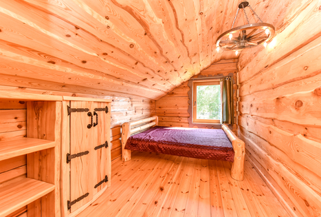 Homestead "Vencavas"