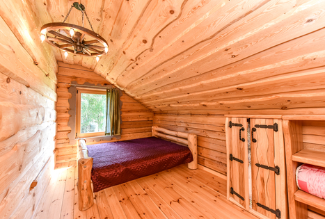 Homestead "Vencavas"