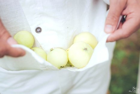 „Bitutės“ sodyba