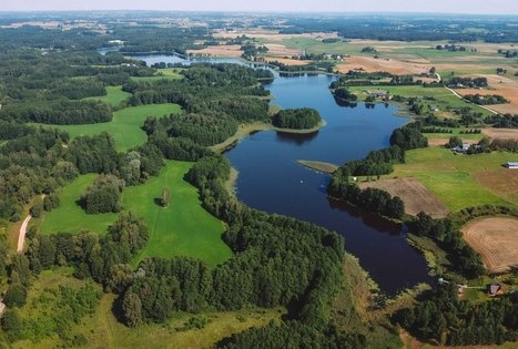 Forest Trail 51. Lazdijai – Veisiejai.