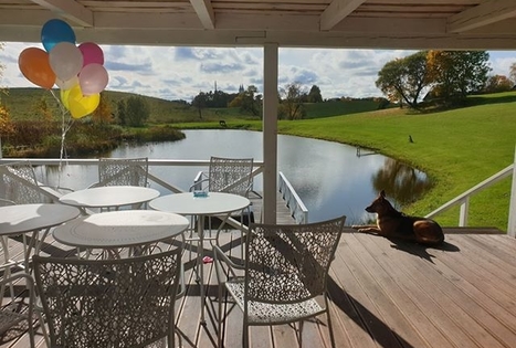 Sodyba „Alantos žirgai“