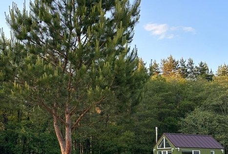 Sodyba „Alantos žirgai“