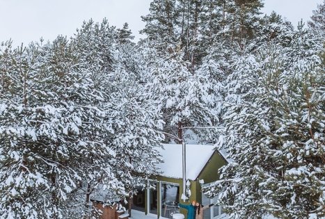 Sodyba „Alantos žirgai“