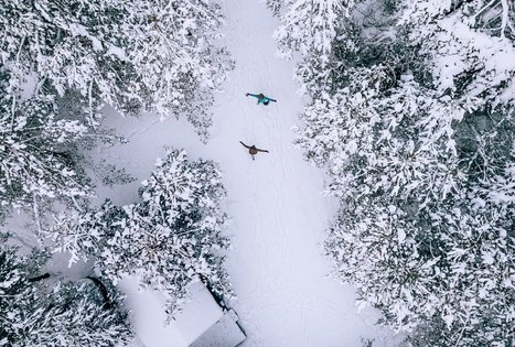 Sodyba „Alantos žirgai“