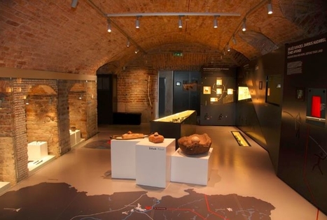 Alytus Regional Museum