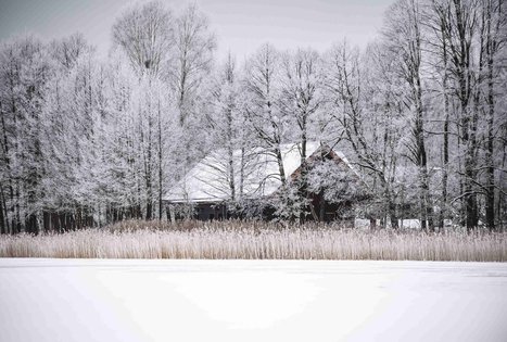 Forest Trail 51. Lazdijai – Veisiejai.