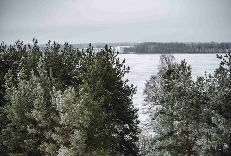 Forest Trail 51. Lazdijai – Veisiejai.