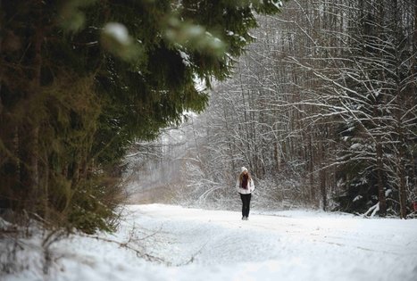 Miško Takas 52. Veisiejai – Trikojis.