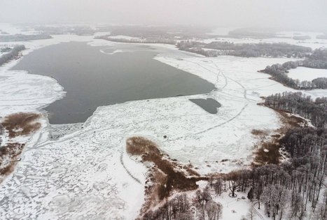 Miško Takas 52. Veisiejai – Trikojis.
