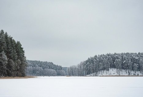 Forest Trail 53. Trikojis – Didžiasalis.