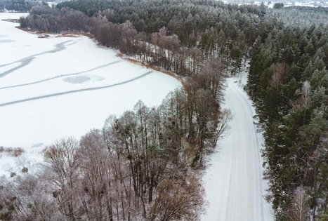 Forest Trail 53. Trikojis – Didžiasalis.