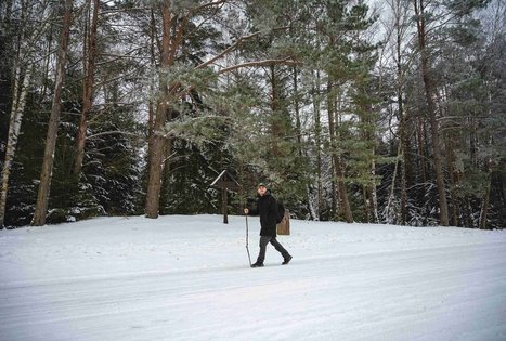 Forest Trail 53. Trikojis – Didžiasalis.