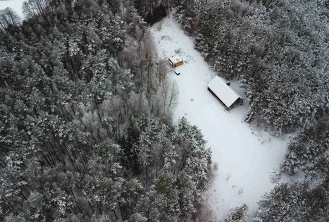 Forest Trail 53. Trikojis – Didžiasalis.