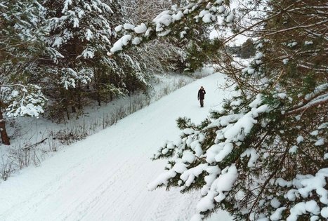 Forest Trail 53. Trikojis – Didžiasalis.