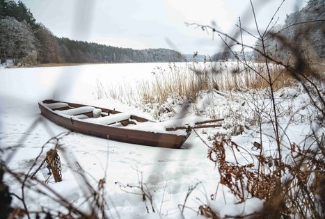 Forest Trail 53. Trikojis – Didžiasalis.