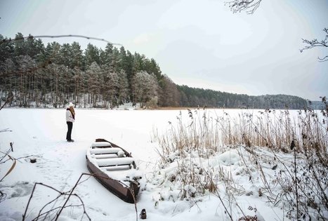 Forest Trail 53. Trikojis – Didžiasalis.