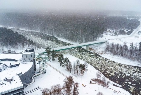 Forest Trail 54. Didžiasalis – Druskininkai – Žiogeliai.