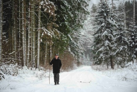 Forest Trail 54. Didžiasalis – Druskininkai – Žiogeliai.