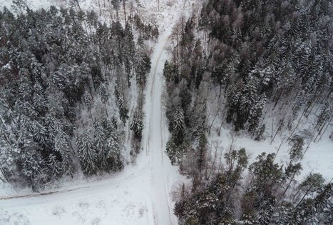 Forest Trail 54. Didžiasalis – Druskininkai – Žiogeliai.