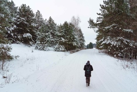 Forest Trail 54. Didžiasalis – Druskininkai – Žiogeliai.