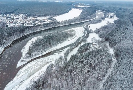 Forest Trail 54. Didžiasalis – Druskininkai – Žiogeliai.