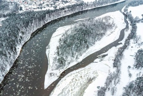 Forest Trail 54. Didžiasalis – Druskininkai – Žiogeliai.