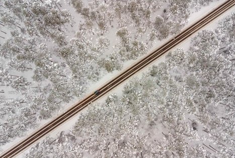 Forest Trail 54. Didžiasalis – Druskininkai – Žiogeliai.