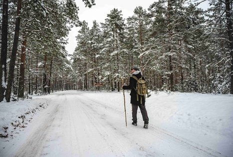 Miško Takas 55. Žiogeliai – Merkinė.