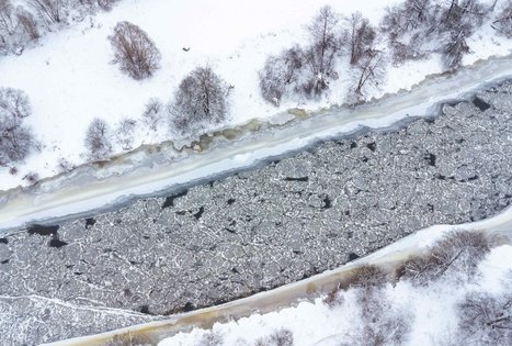 Miško Takas 55. Žiogeliai – Merkinė.