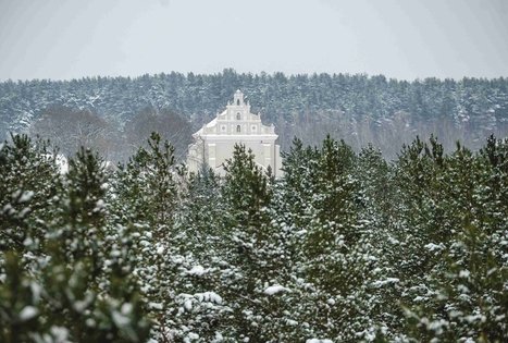 Miško Takas 56. Merkinė – Nemunaitis.