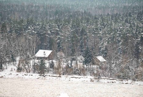 Miško Takas 56. Merkinė – Nemunaitis.