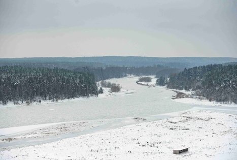 Miško Takas 56. Merkinė – Nemunaitis.