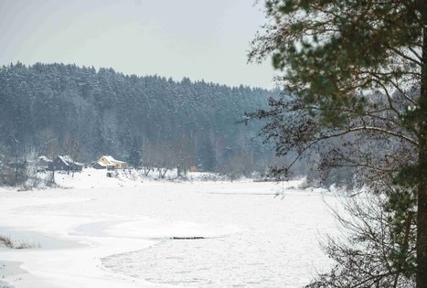 Miško Takas 56. Merkinė – Nemunaitis.