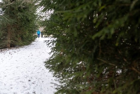 Miško Takas 57. Nemunaitis – Alytus.
