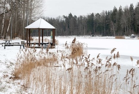 Miško Takas 57. Nemunaitis – Alytus.