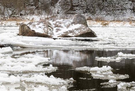 Miško Takas 57. Nemunaitis – Alytus.