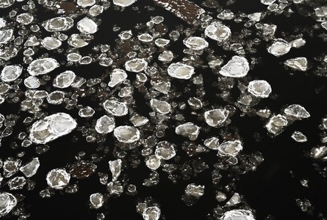 Miško Takas 58. Alytus – Panemunis.