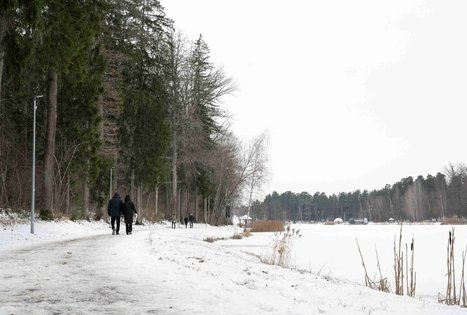 Miško Takas 58. Alytus – Panemunis.